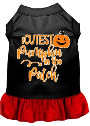 Cutest Pumpkin In The Patch Screen Print Dog Dress Black With Red Xl